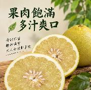 �i���~�j�¨��j�լc 20 ���